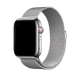 Milanese Mesh Apple Watch Band 41mm in Titanium