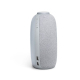 Horizon 2 Grey: Bluetooth Radio Alarm Speaker