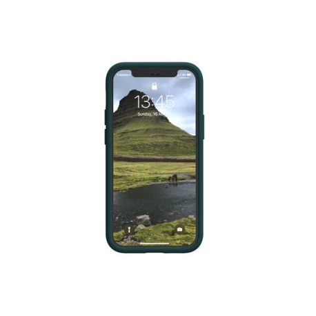 Coque en cuir de saumon islandais premium pour iPhone 12 Mini