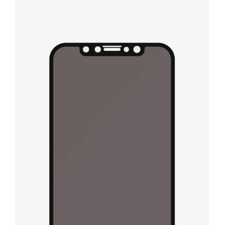 PanzerGlass Verre de Confidentialité pour iPhone XR/11 - Noir